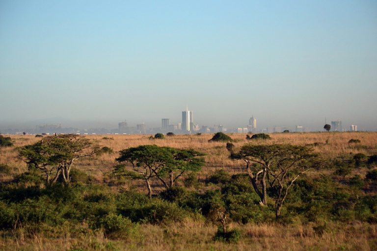 Azienda cinese lancia nuovi pannelli solari fotovoltaici in Kenya per aumentare il tasso di elettrificazione