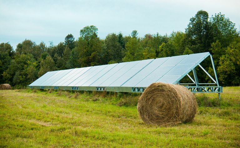 Più del 70% delle imprese agricole italiane è interessato all’agrivoltaico