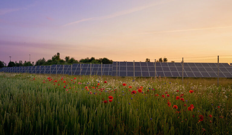 Il fotovoltaico al servizio della tutela della natura