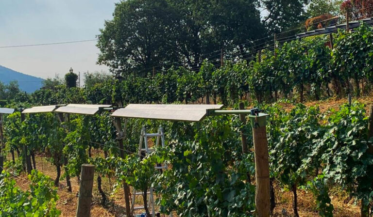 Nuovo accordo per l’agrivoltaico italiano: Consorzio Global Fresh Fruit, Vespera Energy e i-Pergola